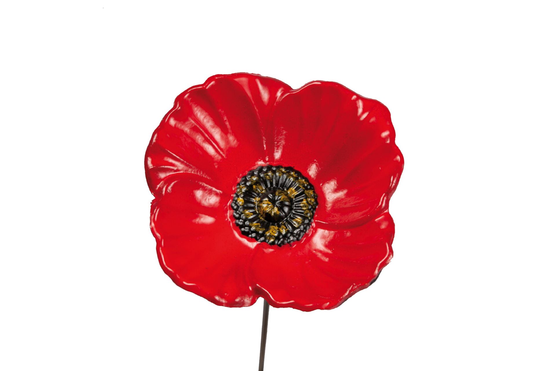 Bird Gift Feeder  Papaver