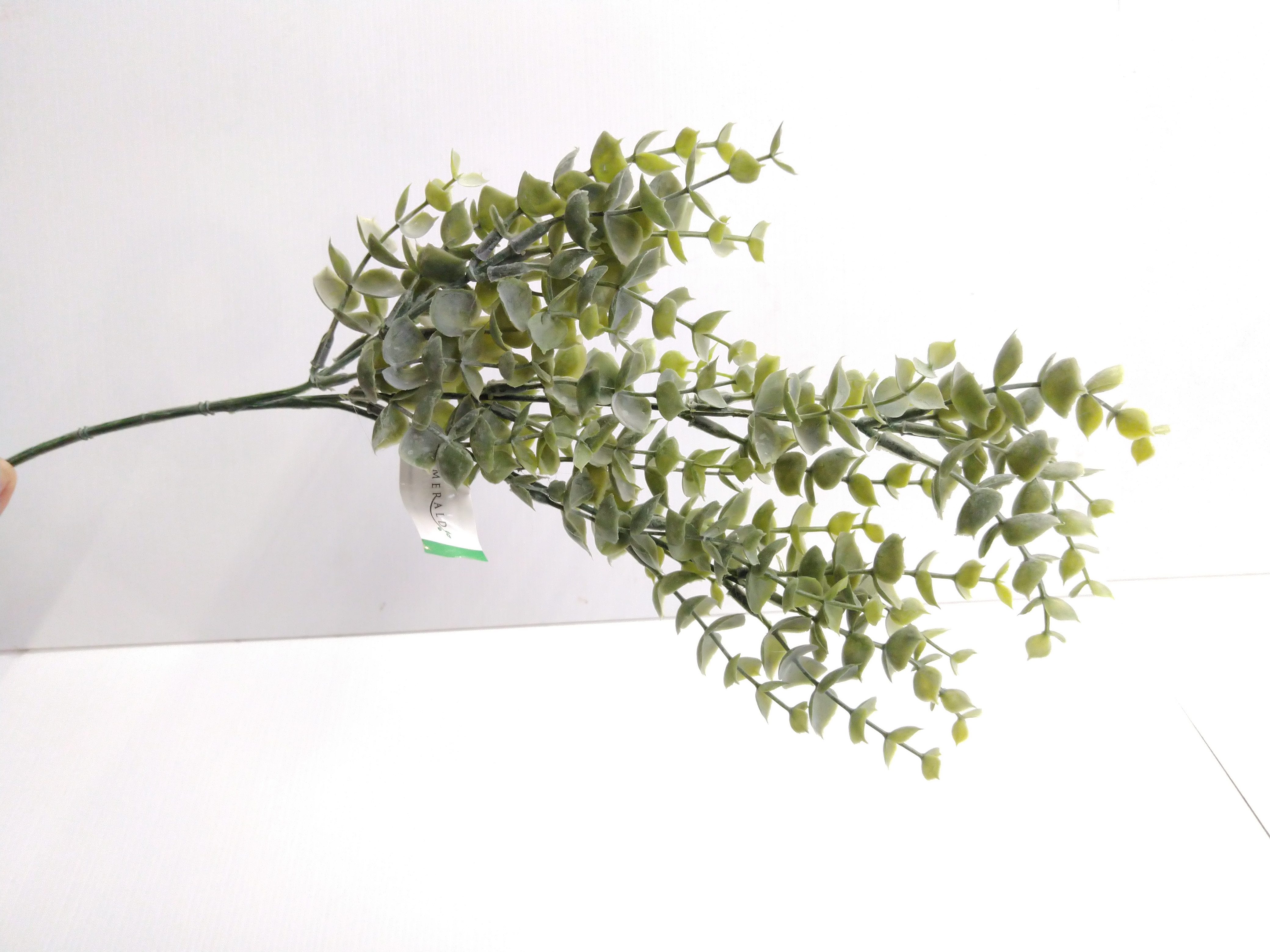 Zijdebloem Eucalyptus Bridge Spray