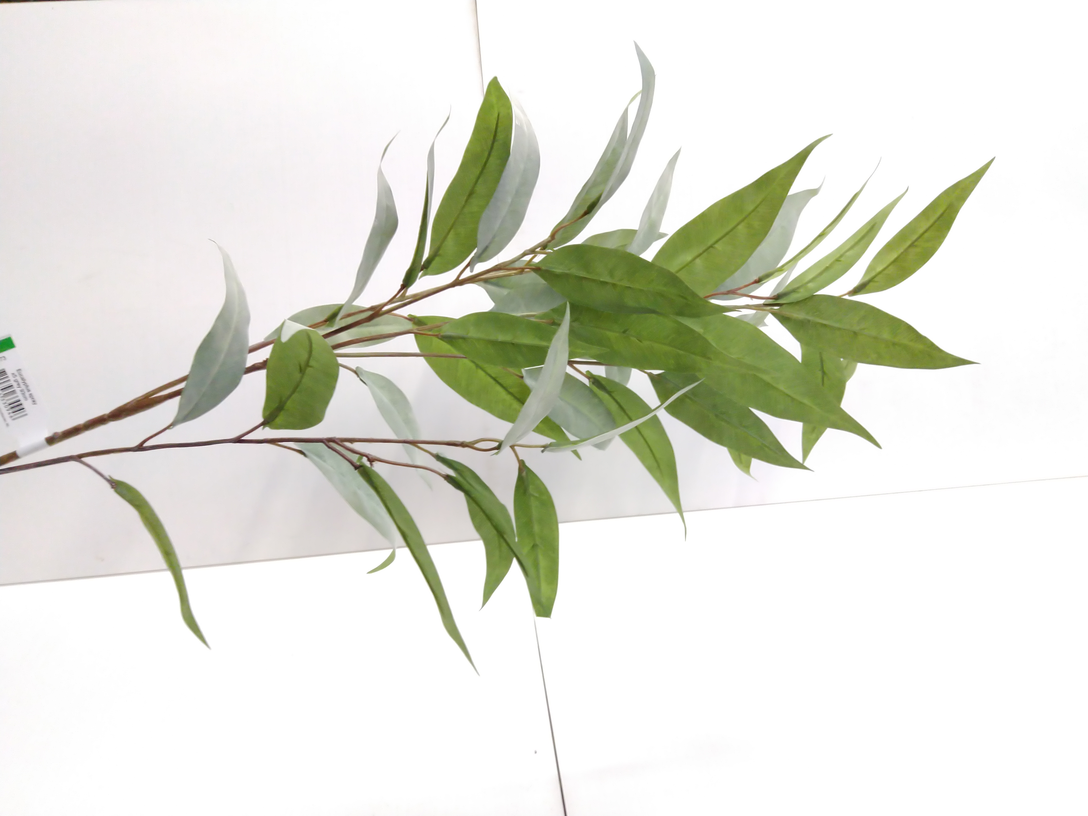 Zijdebloem Eucalyptus Spray Grey