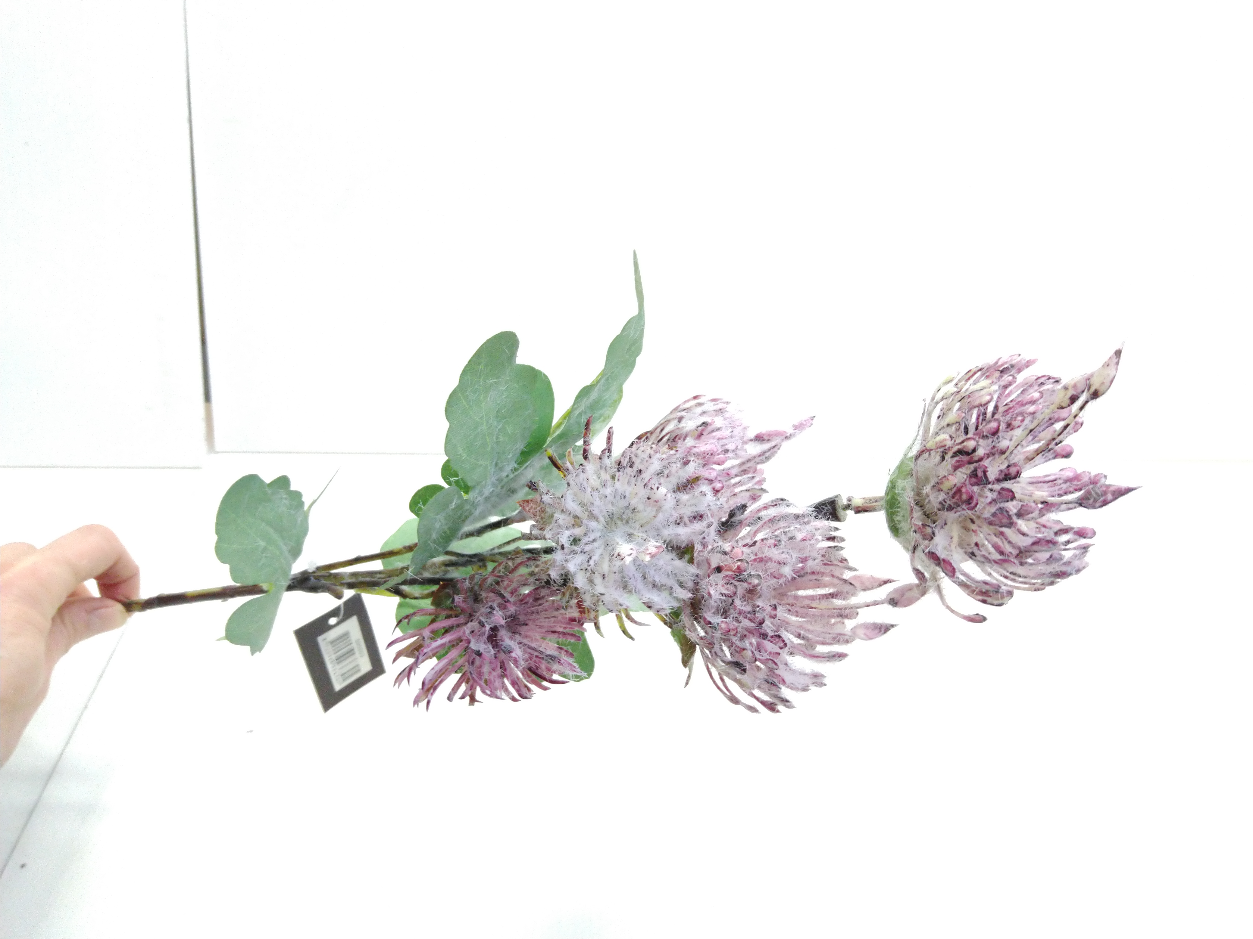 Zijdebloem Nutan tros paars