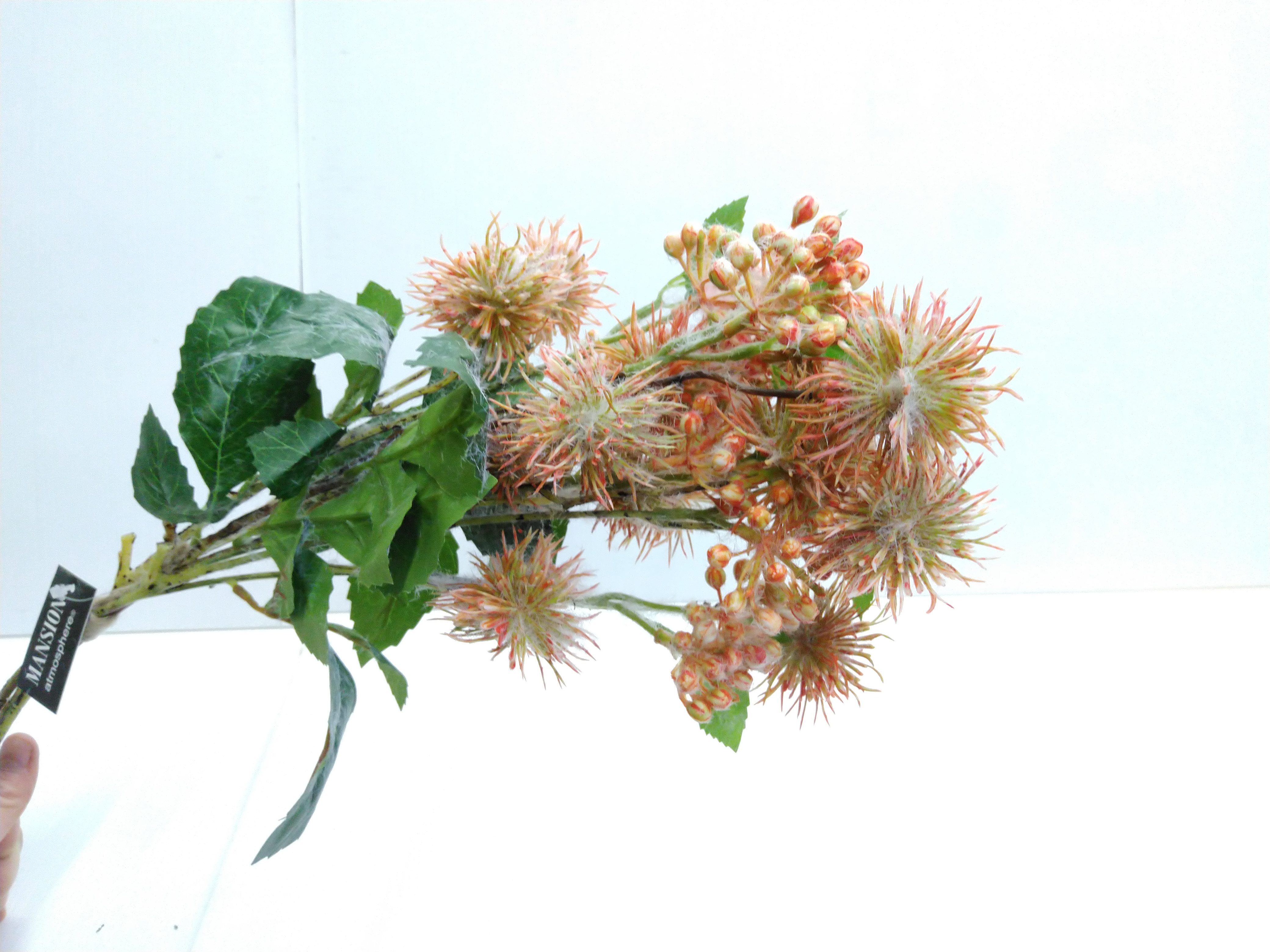 Zijdebloem boeket Pink Needle Cushion Flower