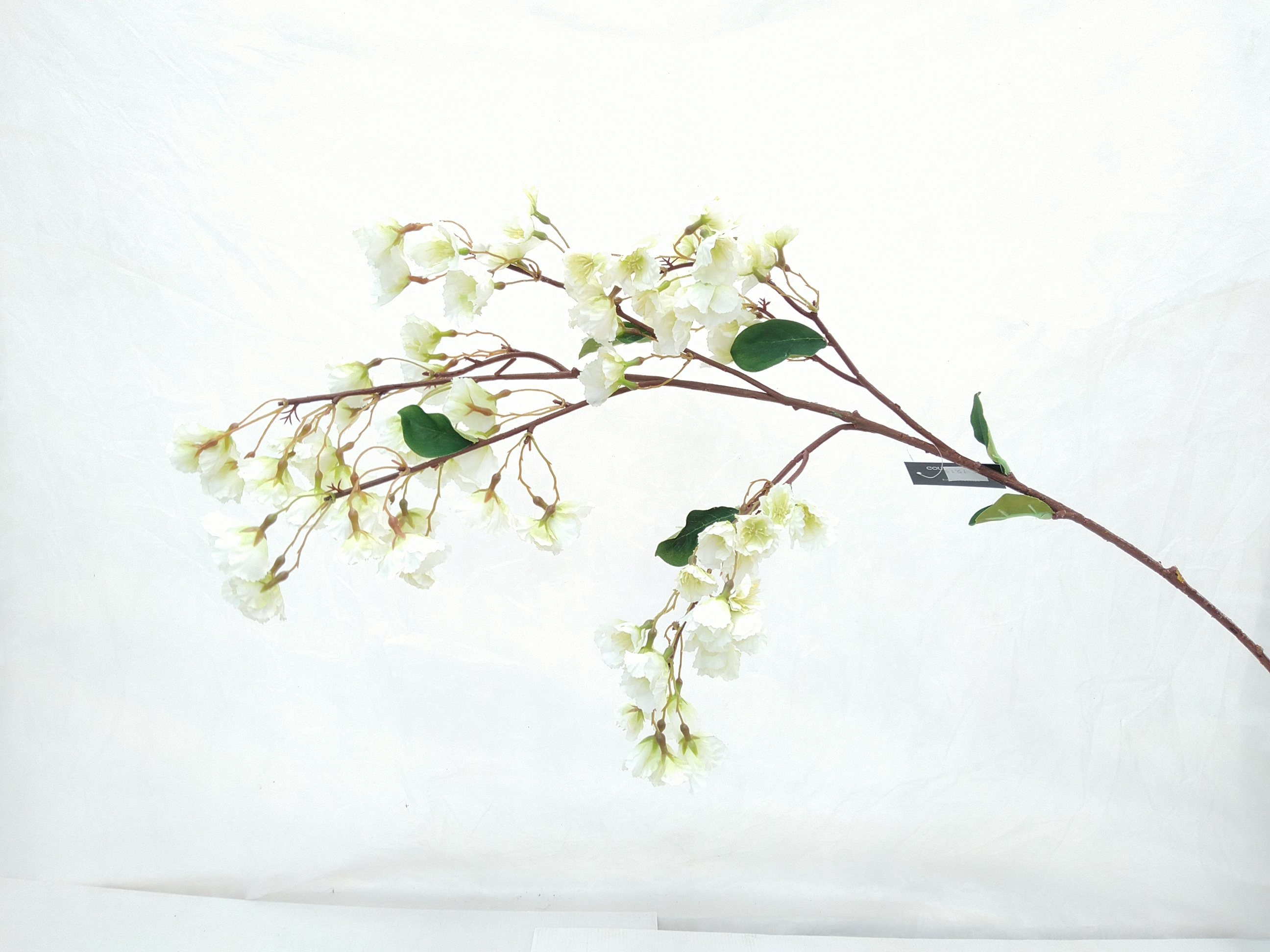 Zijdebloem Bloesemtak Wit