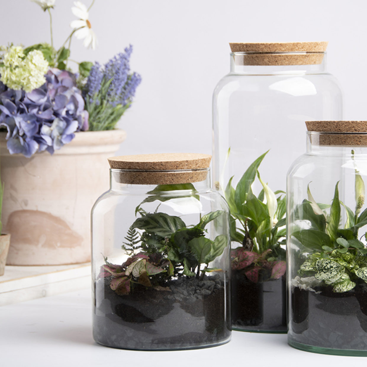 Halfopen terrarium fles M