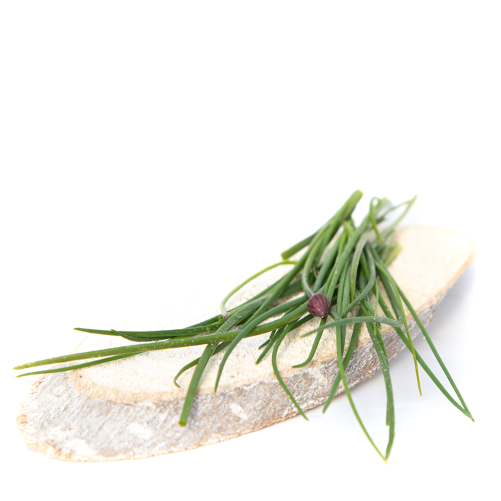 Bieslook - Ciboulette