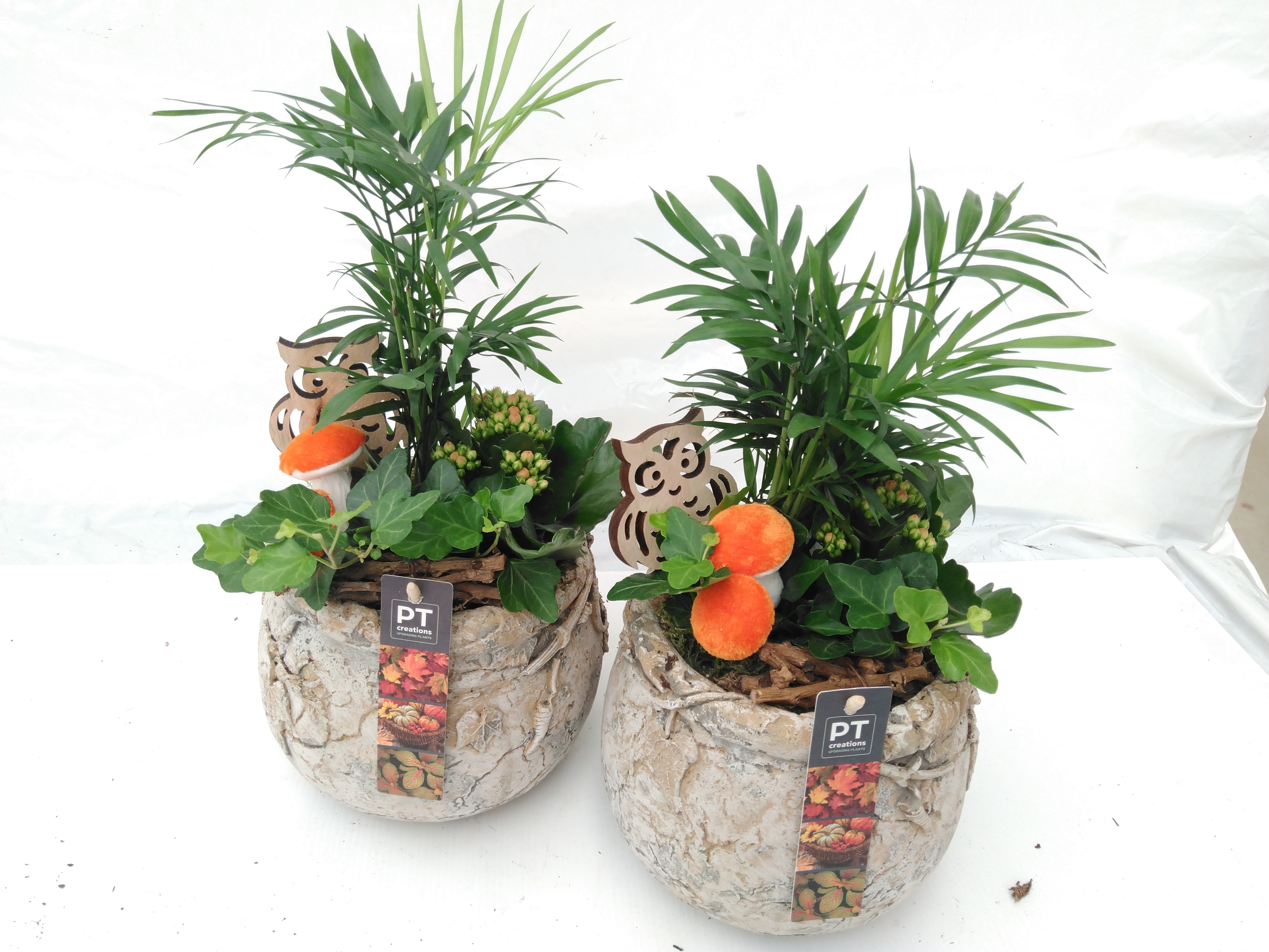 PTHI5035 Autumn Interieur