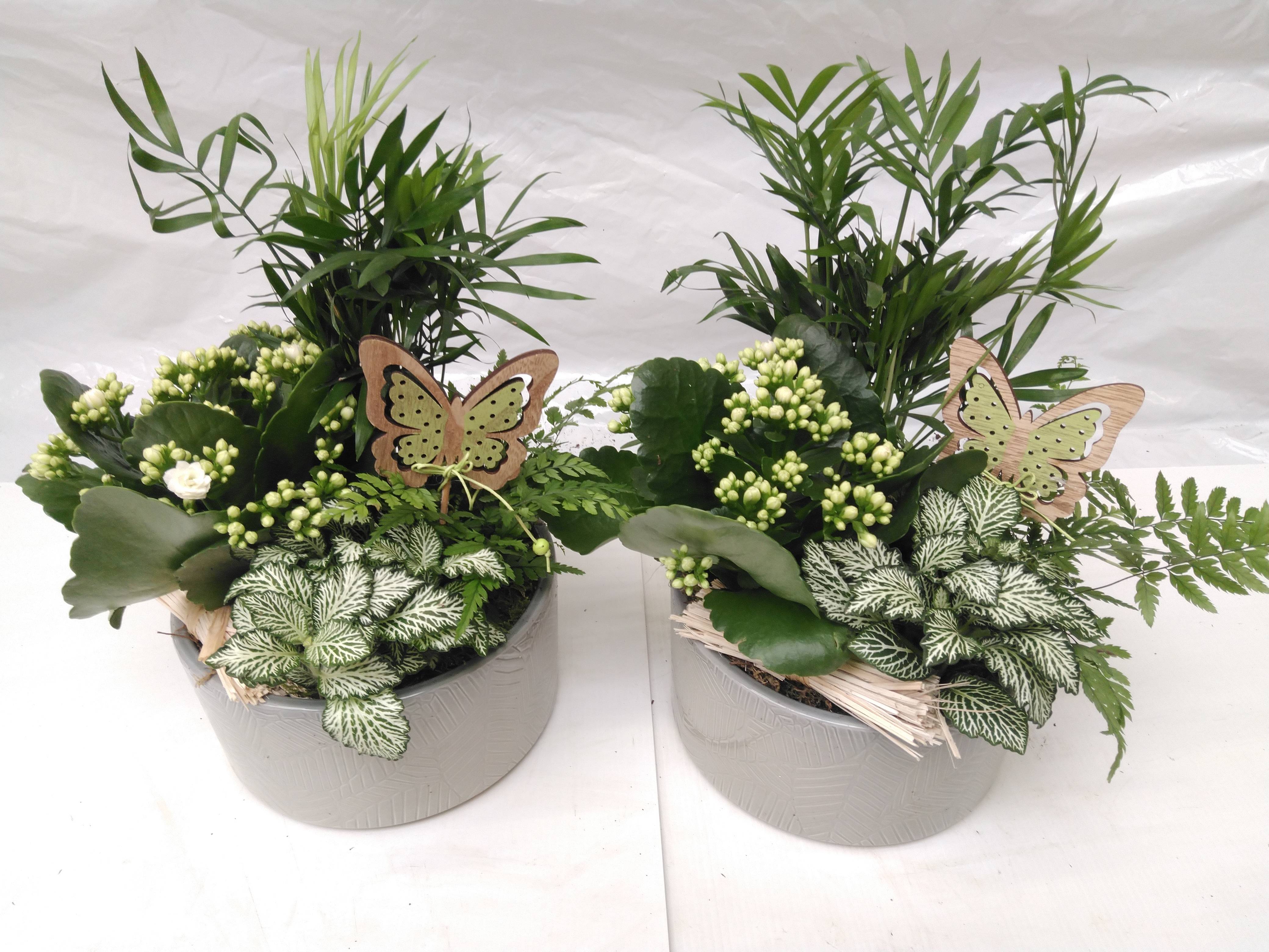Arrangement voor binnen
