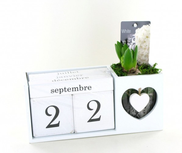 ARR Hyacint kalender