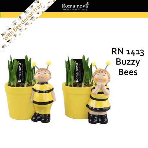 ARR Narcis Roma Nova 'Buzzy Bees'