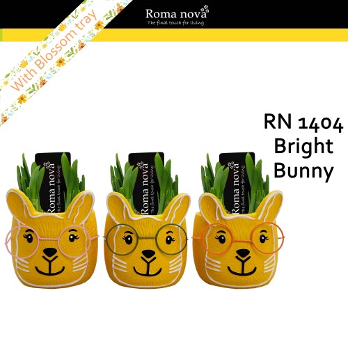 ARR Narcis Roma Nova 'Bright Bunny' bril