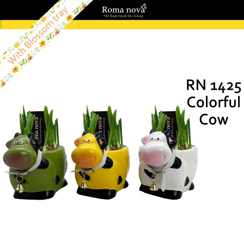 ARR Narcis met koe Roma Nova