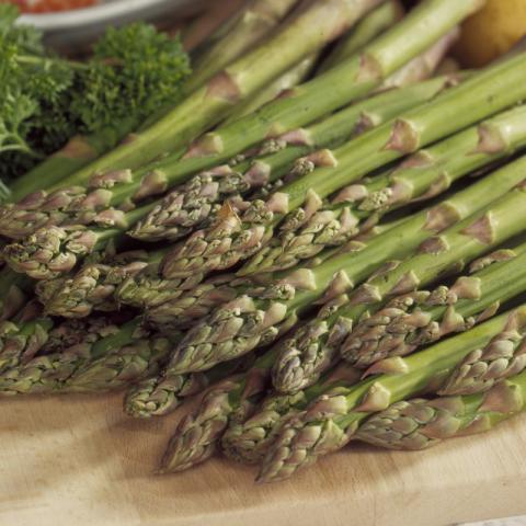 Asparagus off. 'Mary Washington'