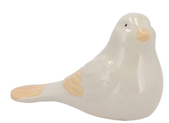 Bird White Bird White