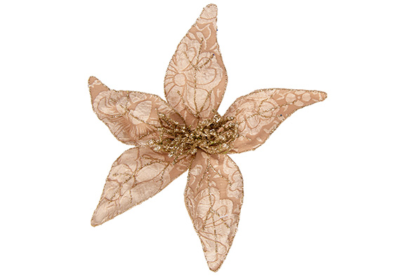 KERSTROOS CLIP EMBROIDERY TAUPE