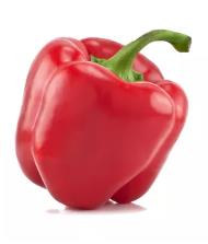 Paprika Rood - Poivron rouge Paprika Rood - Poivron rouge