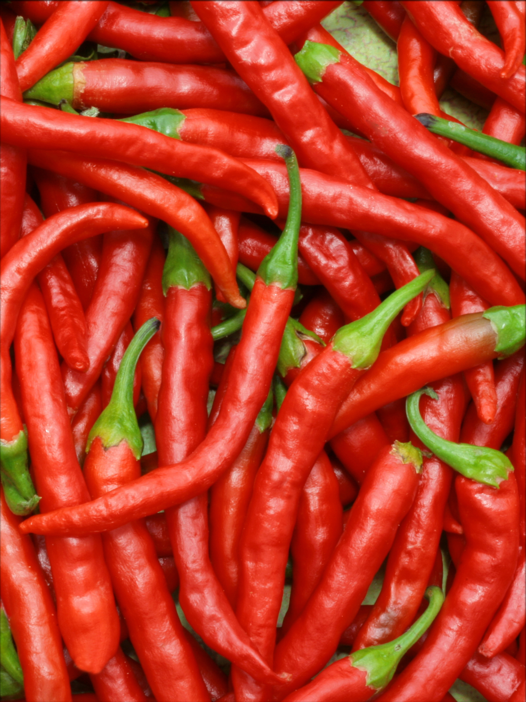 Pepers rood 'Cayenne' - Piment d'Espagne 'Cayenne'
