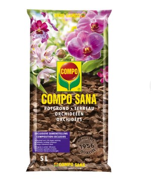 ORCHIDEEËNPOTGROND