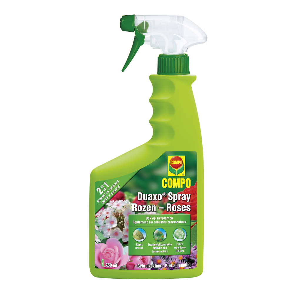DUAXO SPRAY ROZEN DUAXO SPRAY ROZEN