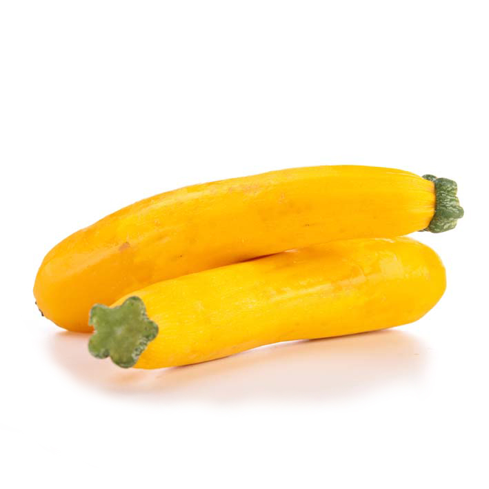 Courgette geel 'Gold Rush' F1  -  Courgette jaune 