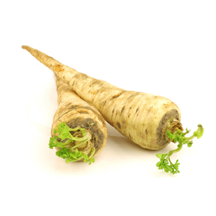Pastinaak - Panais Pastinaak - Panais