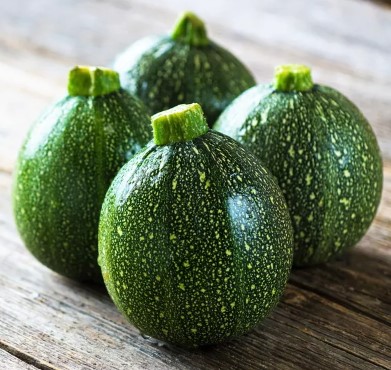 Courgette de Nice Courgette de Nice