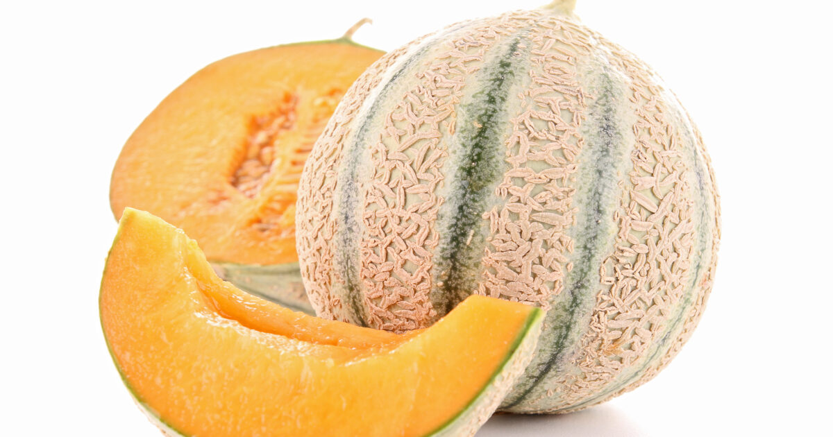 Meloen - Melon