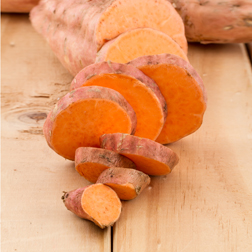 Ipomoea batatas Erato ®  Orange - Zoete aardappel