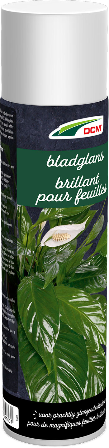 DCM BLADGLANS 0,4L DCM BLADGLANS 0,4L