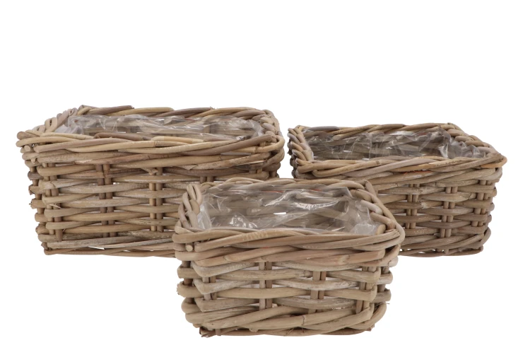 ROTAN IVY SQUARE ROTAN IVY SQUARE