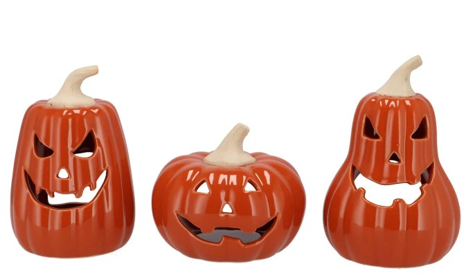 Oranje Pompoen Jolie Scottish