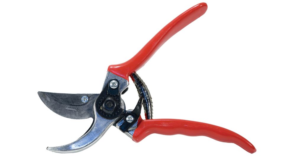 KLASSIEKE SNOEISCHAAR - SECATEUR CLASSIC