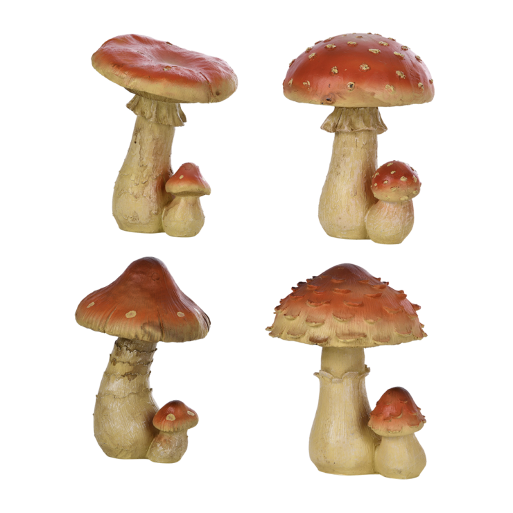 Paddenstoel  L