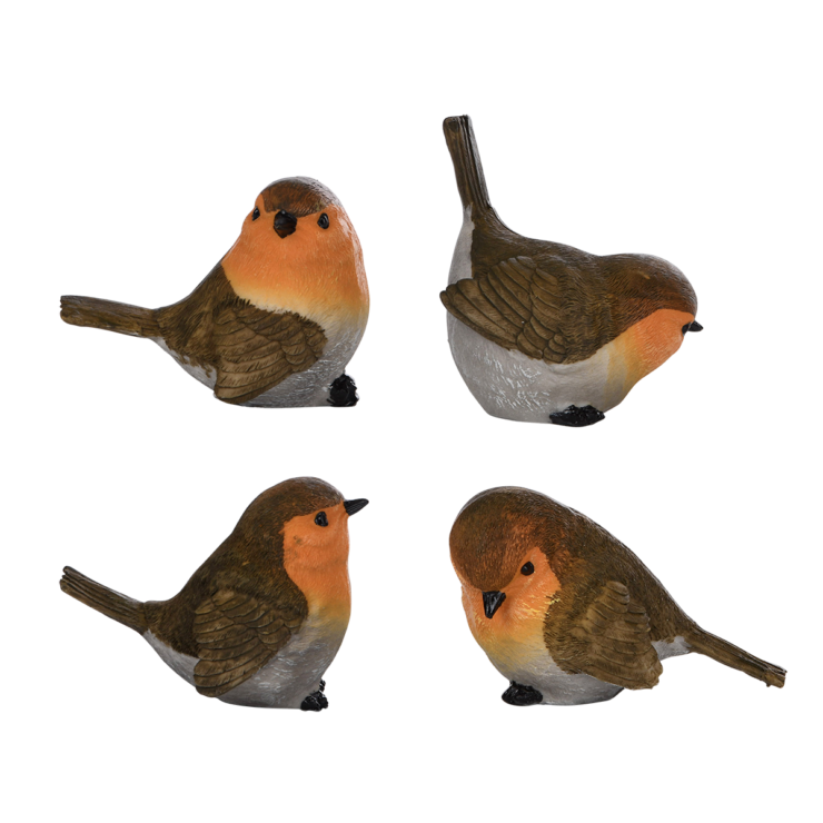 Roodborst S ass.