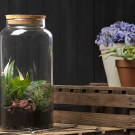 Halfopen terrrarium fles L