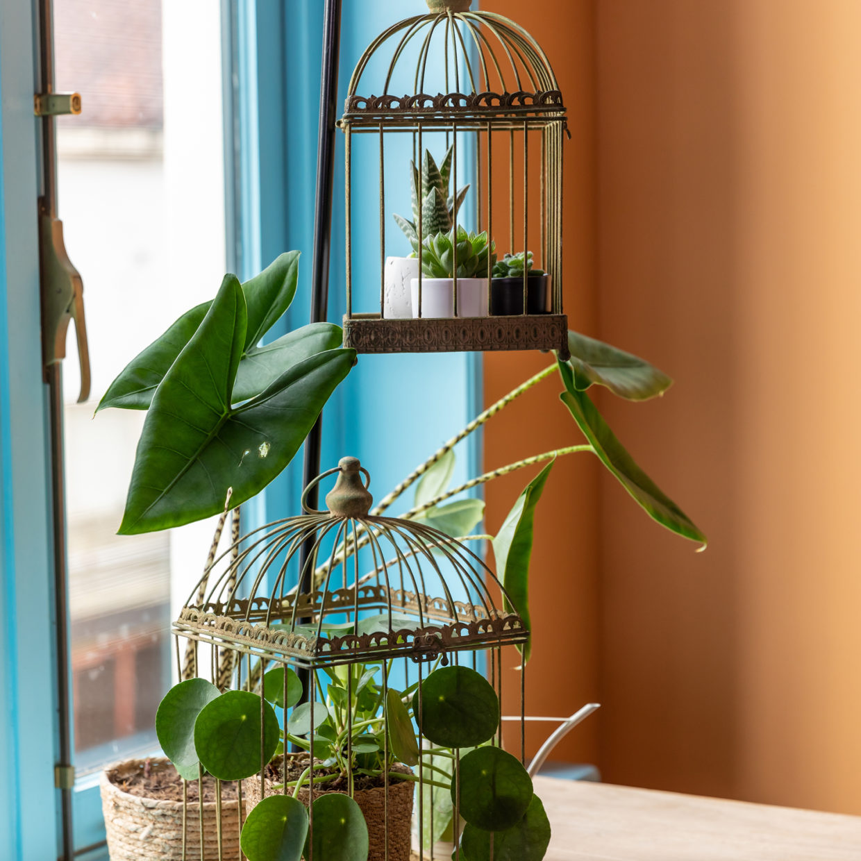 Aged metal green vogelkooi S