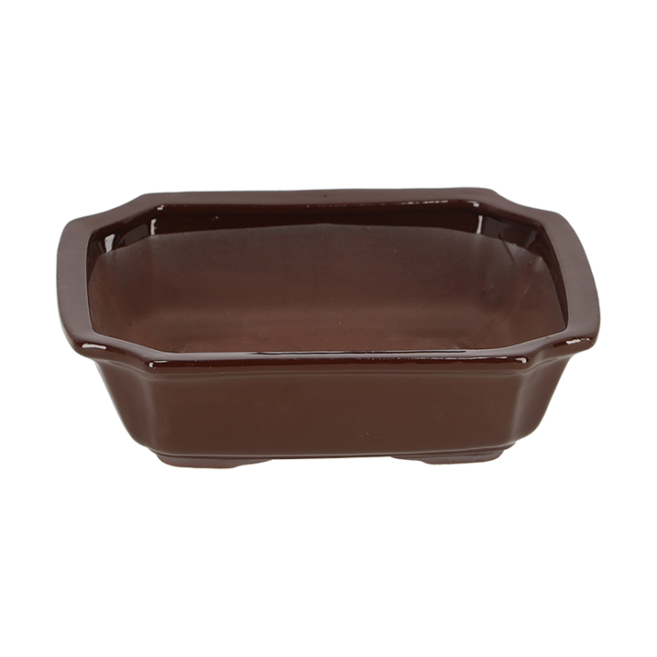 Bonsai pot rechthoekig M