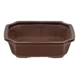 Bonsai pot rechthoekig L