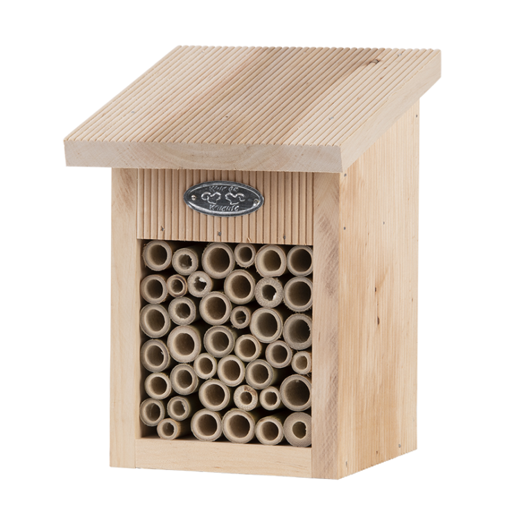 Bijenhuis in geschenkverpakking Bijenhuis in geschenkverpakking