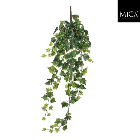 Hedera hangend groen bont