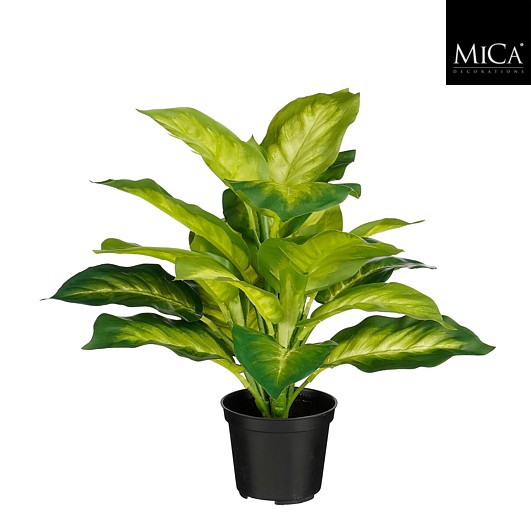 Dieffenbachia in pot groen Real Touch 