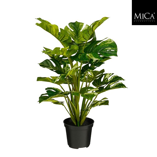 Philo in pot bont - h45xd30cm