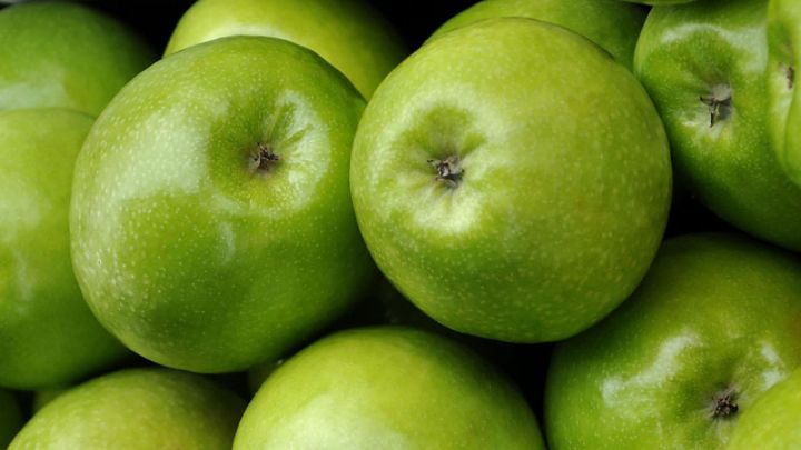 Malus dom. Granny Smith laagstam Malus dom. Granny Smith laagstam