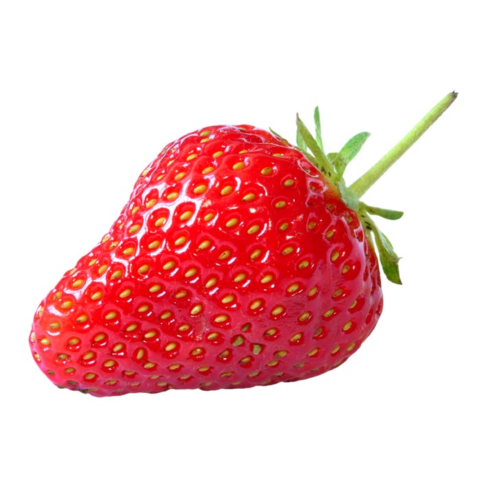 Fragaria 'Charlotte'  6-pack
