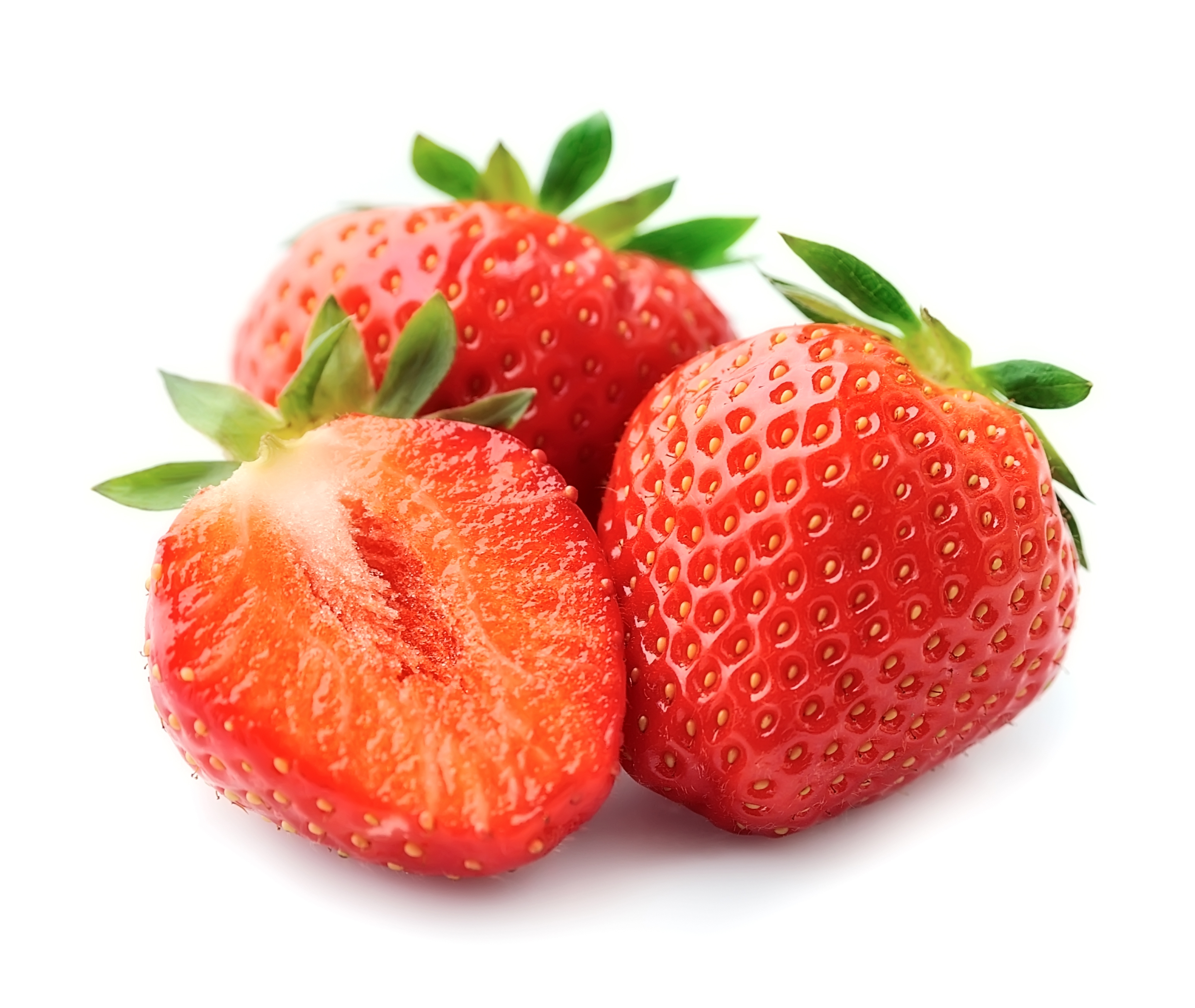 Fragaria 'Elsanta'  