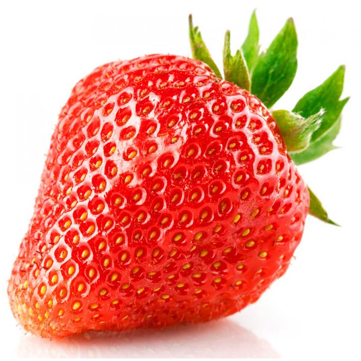 Fragaria 'Elsanta'  