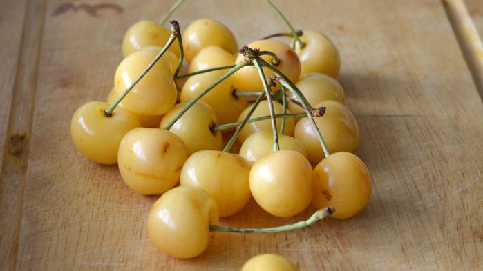 Prunus avium 'Donissens Gold' Prunus avium 'Donissens Gold'