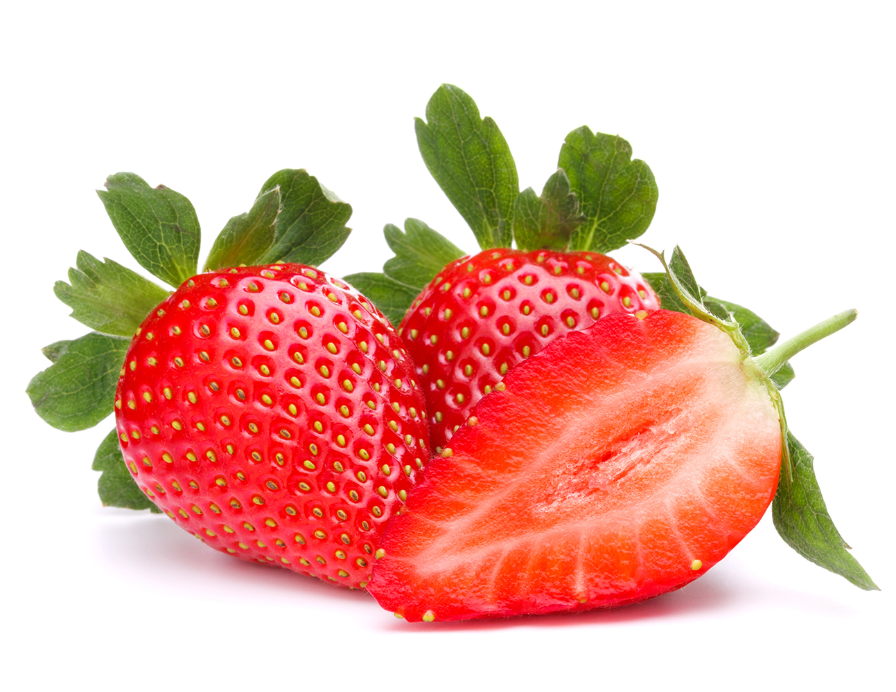 Fragaria 'Korona' Fragaria 'Korona'