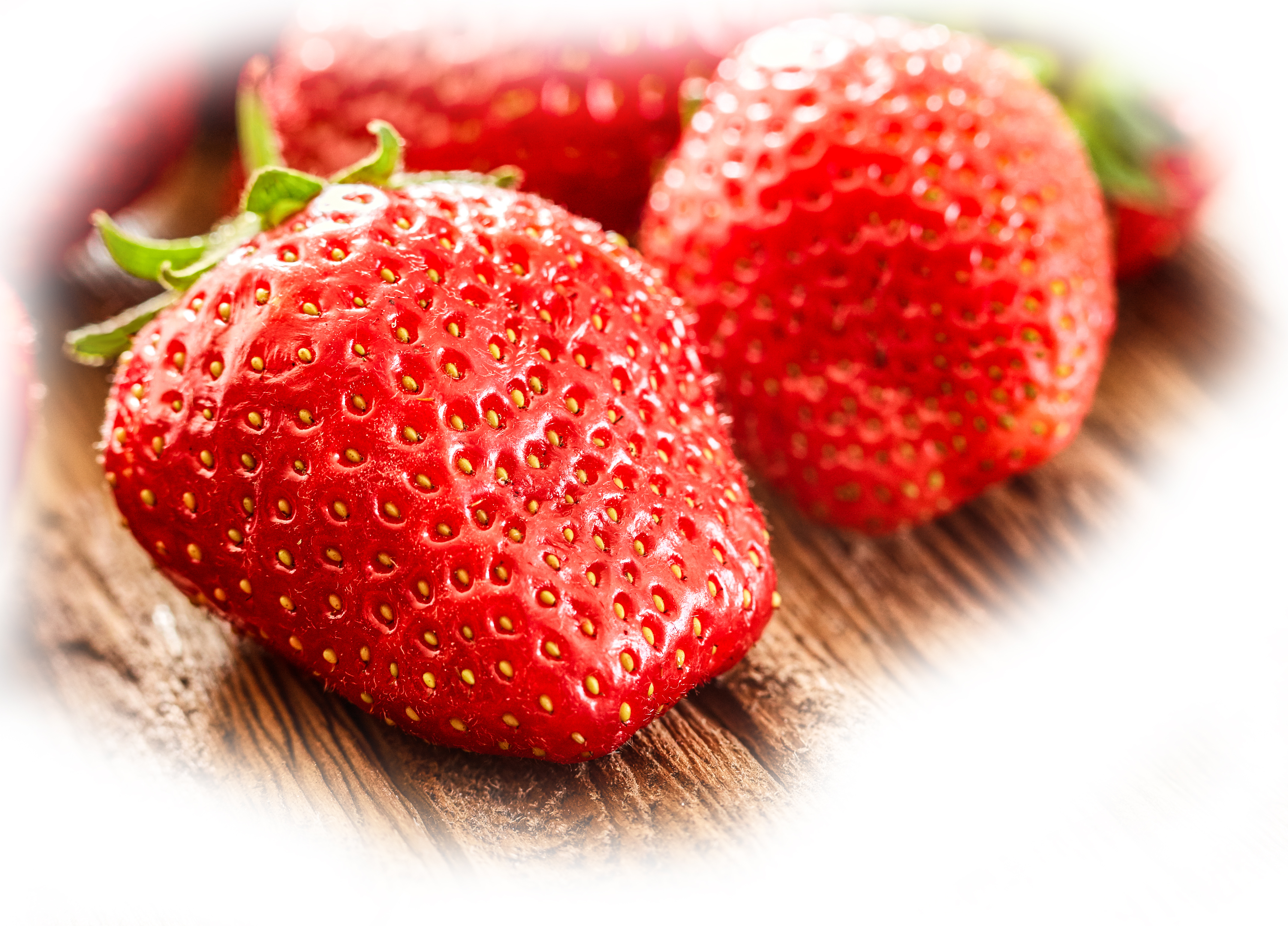 Fragaria Magnum 6-pack
