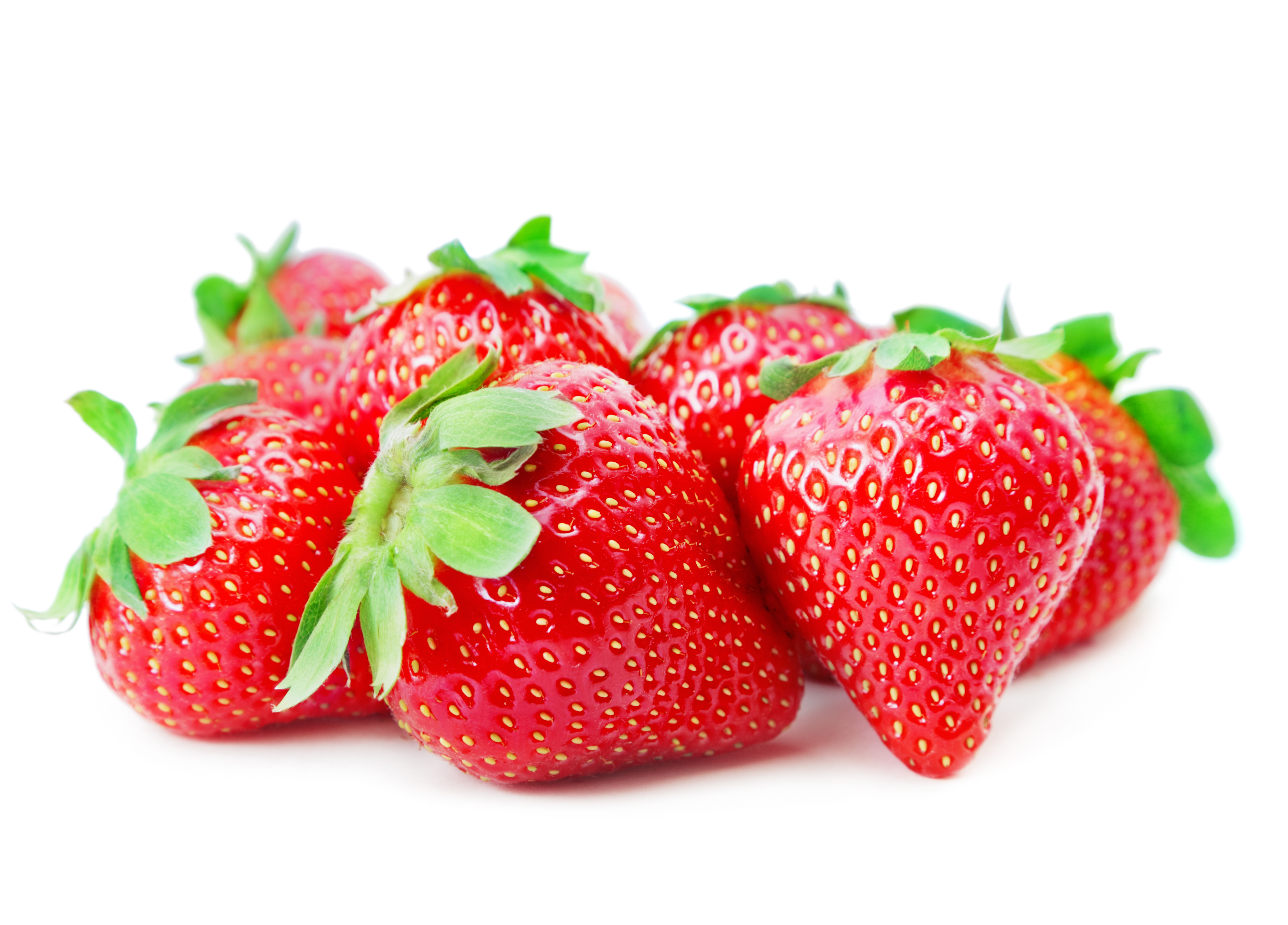 Fragaria Magnum 6-pack
