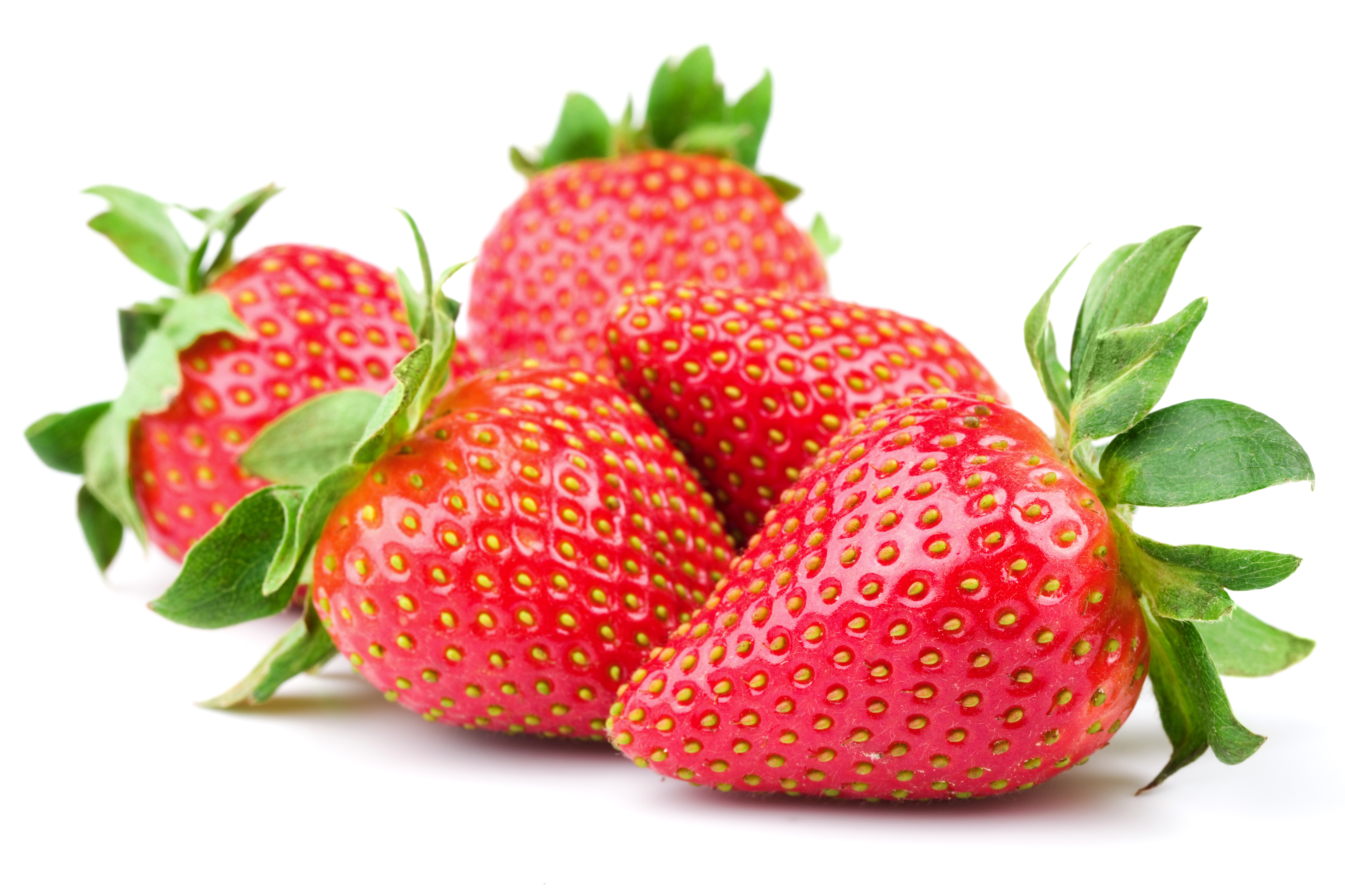 Fragaria 'Mara des Bois'