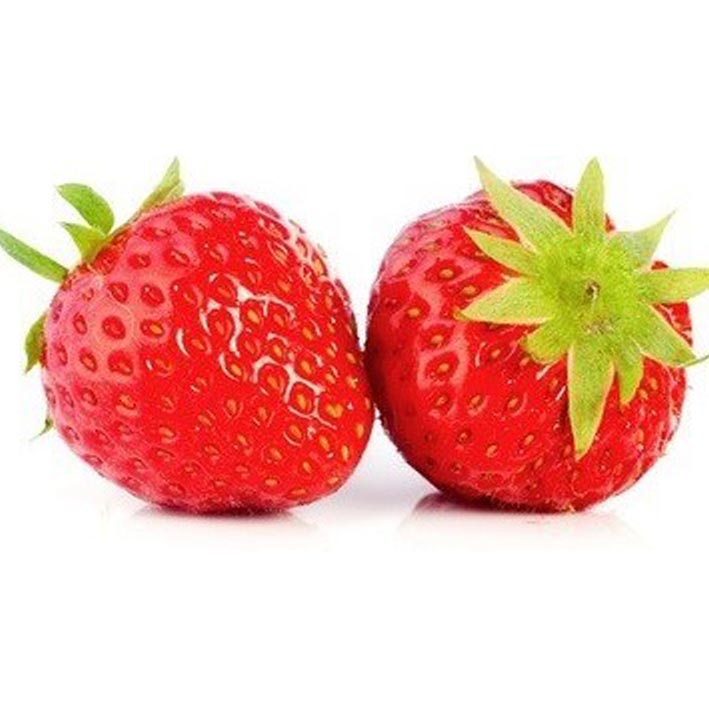 Fragaria 'Mara des Bois'